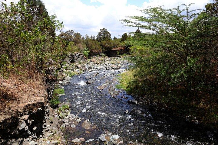 1 Day Arusha national park (Game drive and walking safari).