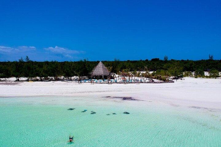 Exclusive Full-Day Zanzibar Adventure: Jozani Forest, Hidden Gems
