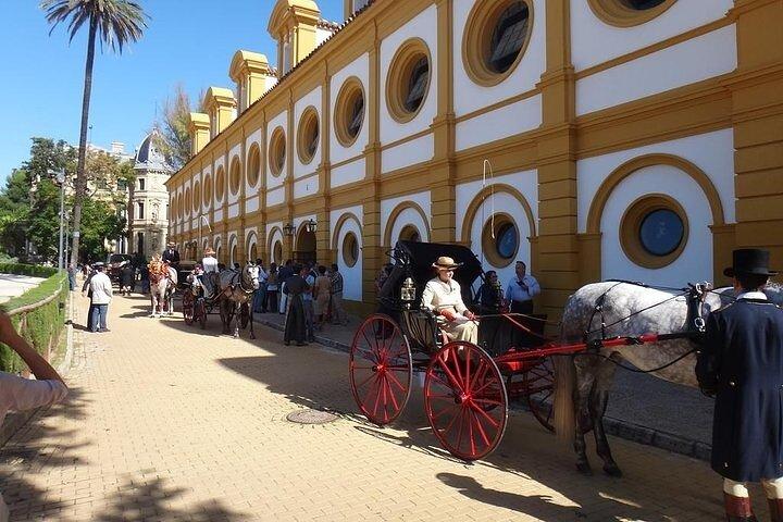 Jerez and Cadiz Day Trip from Seville