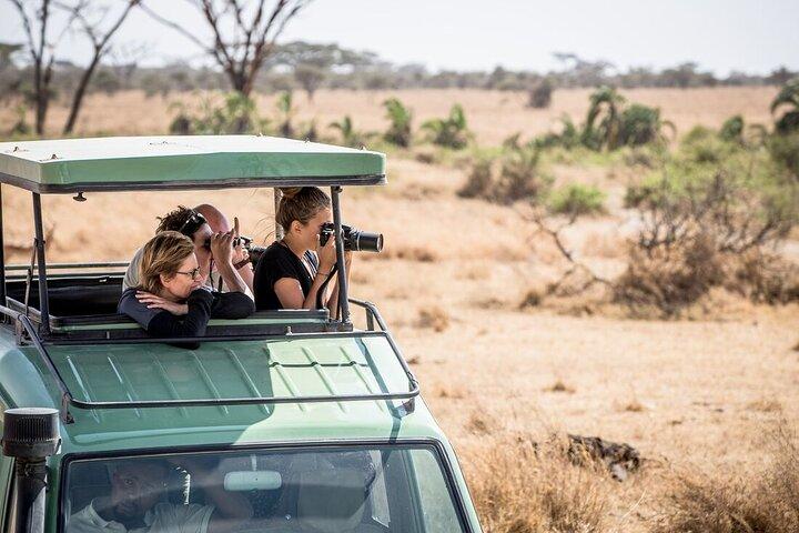 Private Tour to Mikumi National Park By Flight From Zanzibar