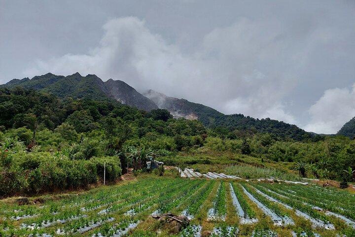7 Days 6 Nights North Sumatra Tour (Bukit Lawang-Berastagi-Lake Toba)