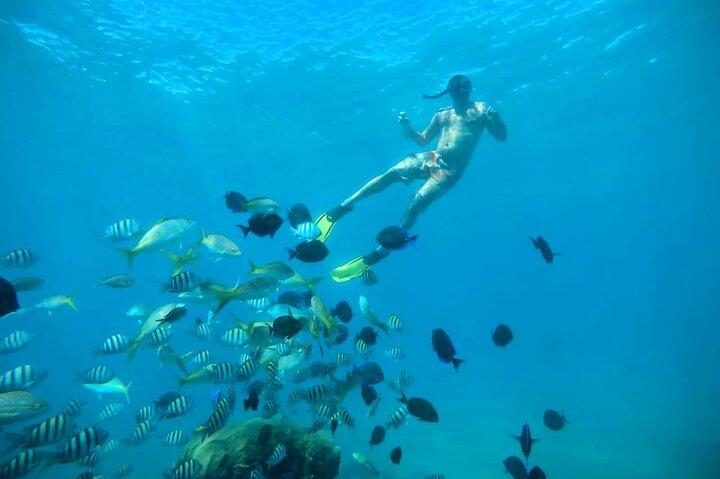Amber Cove - Taino Bay Party Boat Snorkeling Whit Locale BBQ Tour