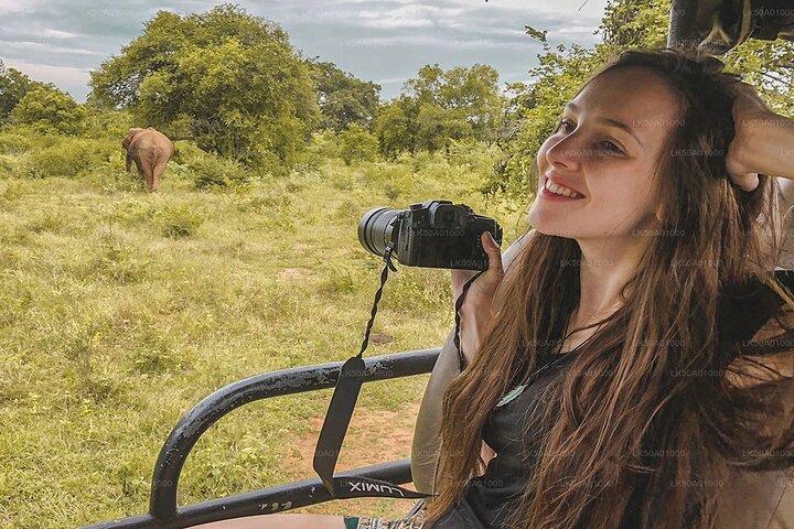 Udawalawe National Park Safari with Elephant Transit Home Visit