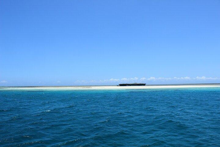 Wasini Dolphin Spotting Tour