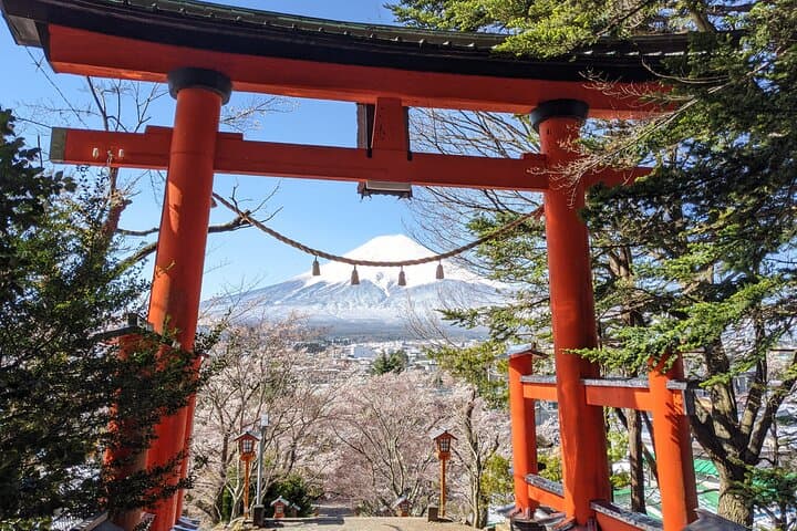 Mt Fuji Hidden Gem & Gotemba Premium Outlets with Local Driver