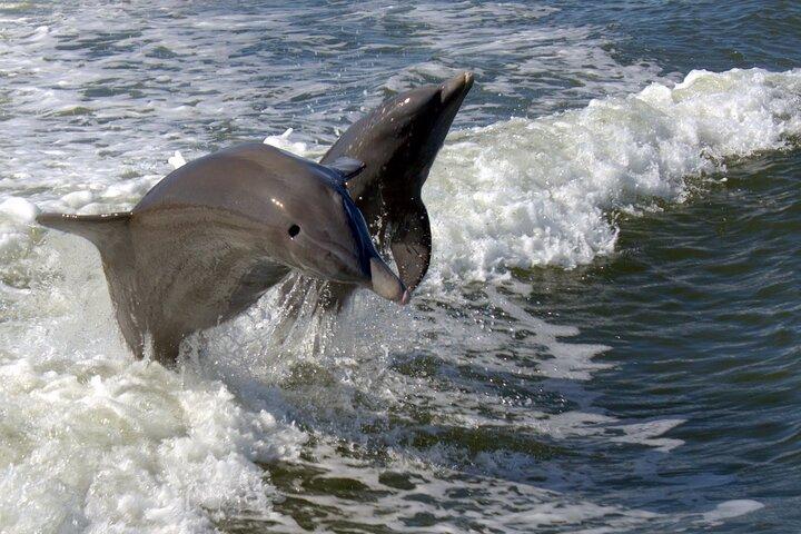 Everglades National Park Naturalist Led Hike, 2 Boat Trips + More
