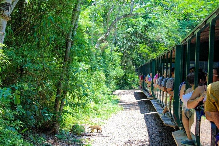 Iguazu Falls Private Day Trip from Buenos Aires with Airfare