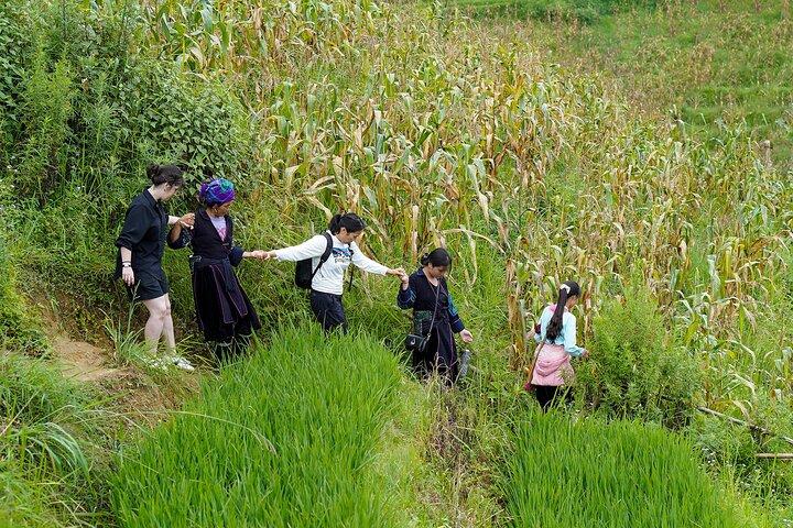 Sapa Trekking & Homestay 2 Days 1 Night