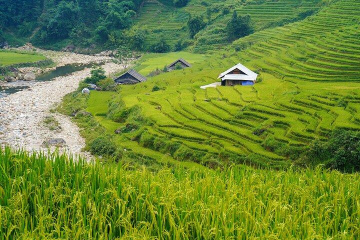 Sapa Trekking & Homestay 2 Days 1 Night