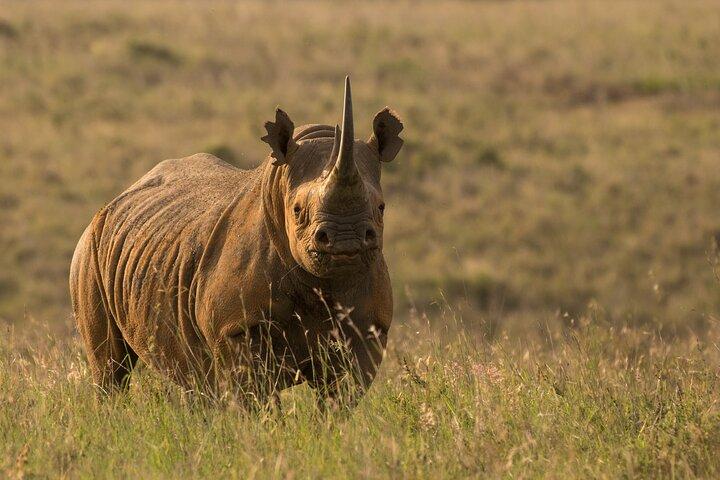 6 Days Tanzania Budget Safari with Serengeti