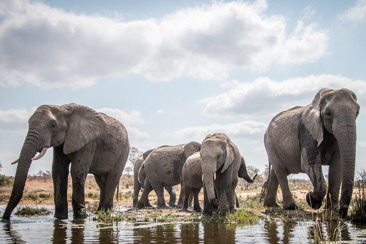 6 Days Tanzania Budget Safari with Serengeti