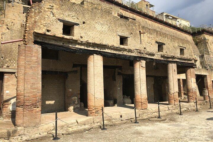 Herculaneum with an archaeologist, The original !!!!