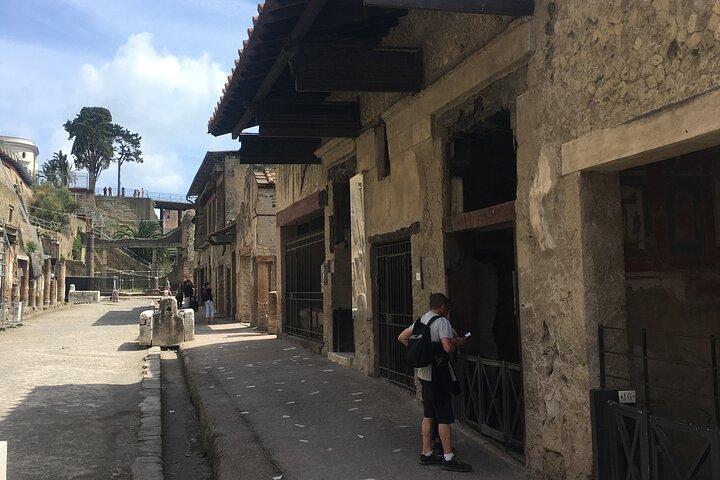 Herculaneum with an archaeologist, The original !!!!