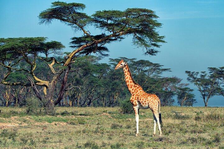 5 Days Budget Safari in Tanzania