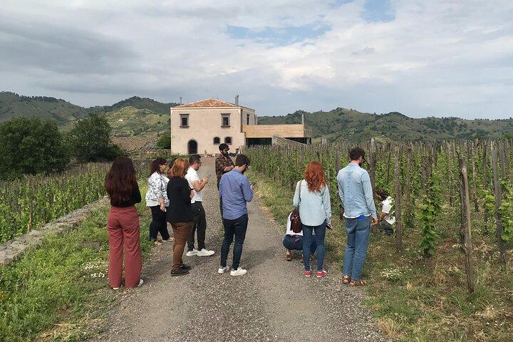 Etna Wineries Tour - Small Groups from Taormina