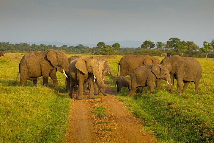 4 Days Safari in Tanzania