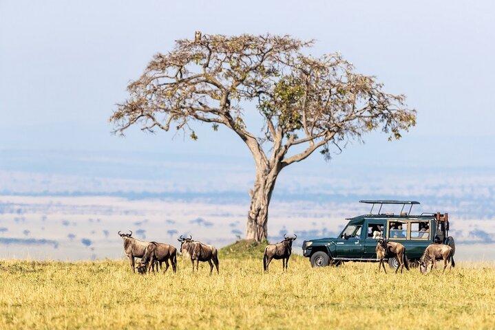 4 Day Mid-range Safari Serengeti ,Ngorongoro and Tarangire