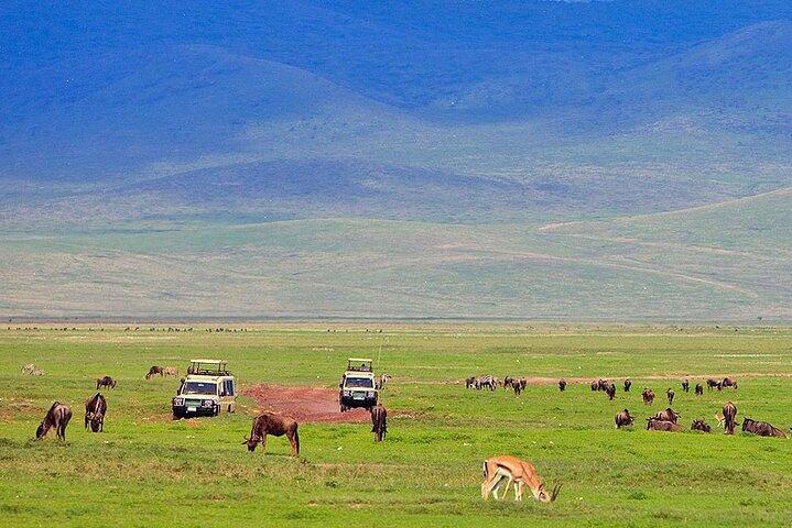 4 Day Private Serengeti and Ngorongoro Mid Range Tour