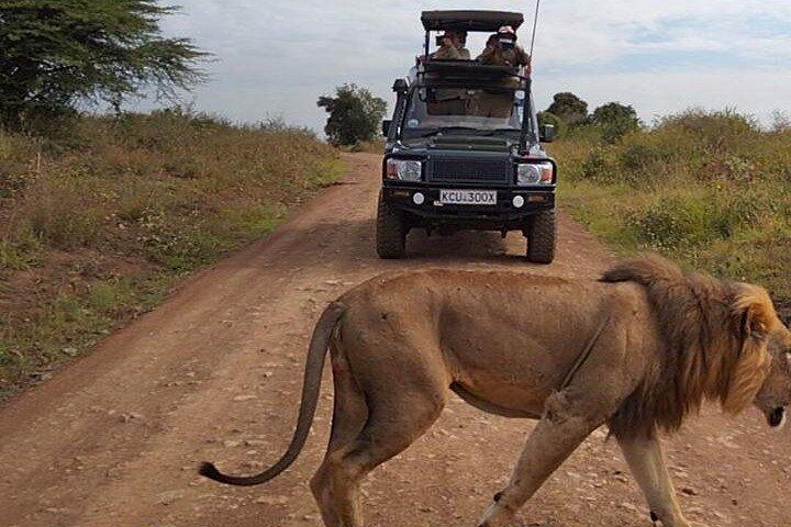 Nairobi National park private day tour