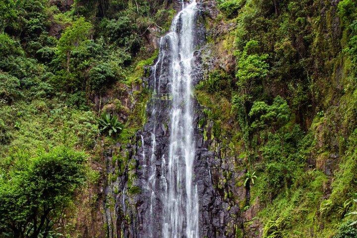 Half-Day Private Tour to Materuni Waterfalls and Coffee excursion