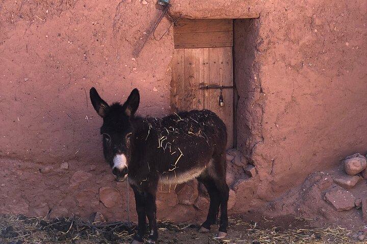 Best Marrakech to Merzouga 3 D 2N Sahara Desert Tour Adventure