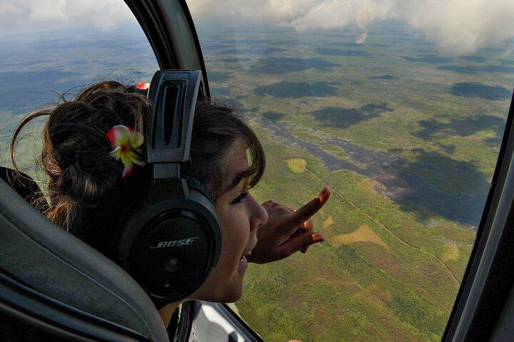 Big Island: Discover Hilo Helicopter Tour