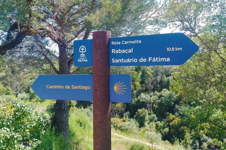 E-bike to Conimbriga Roman Ruins, from Coimbra