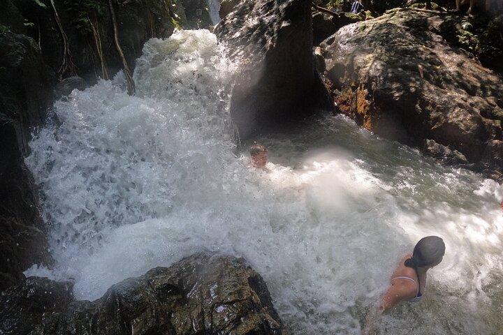 Small-Group Jungle Hiking Excursion in Khao Phra Teaw Park