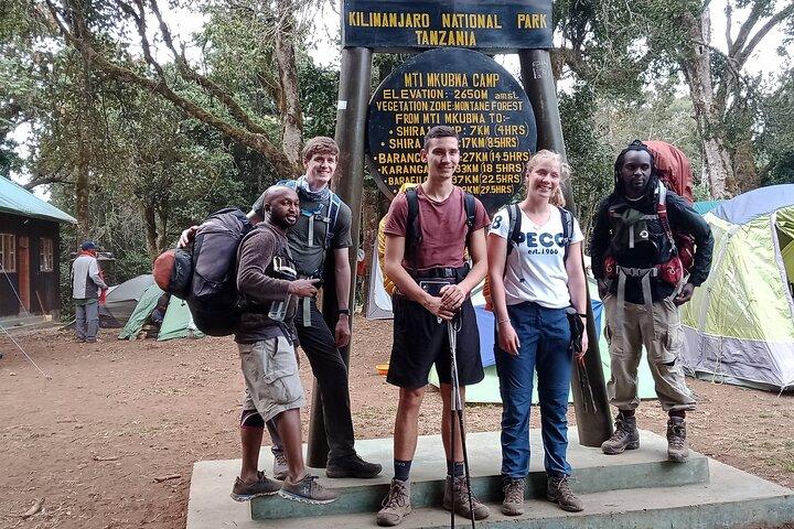 7 Days Kilimanjaro Climbing | Hiking Tour via the Lemosho Route