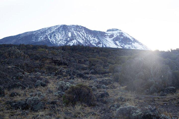 7 Days Kilimanjaro Climbing | Hiking Tour via the Lemosho Route