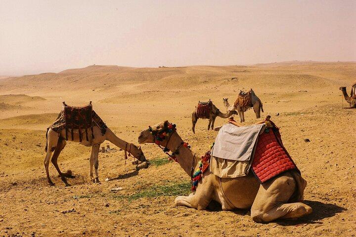 Cairo Full Day Private Tour of Pyramids of Giza, Sphinx, Saqqara and Memphis