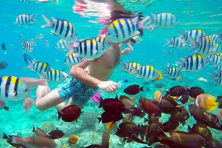 3 gilis Islands Hopping Snorkeling Trip with Gopro camera
