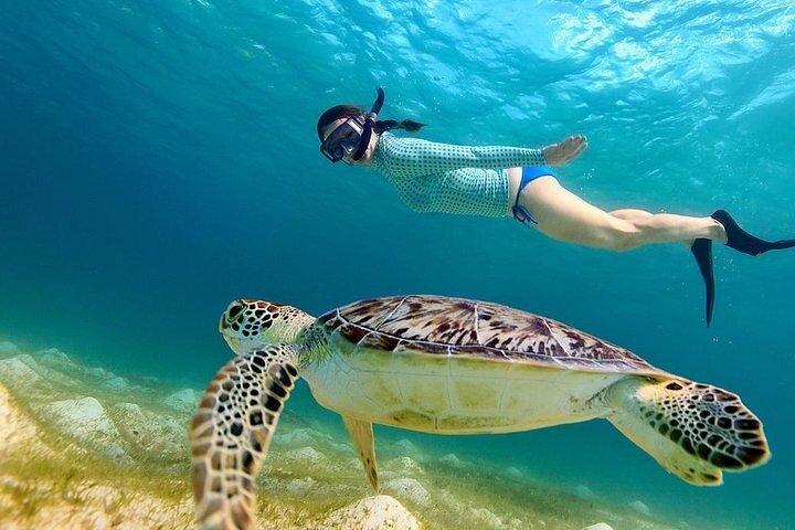 3 gilis Islands Hopping Snorkeling Trip with Gopro camera