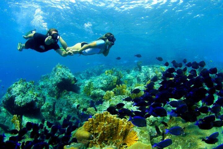 3 gilis Islands Hopping Snorkeling Trip with Gopro camera