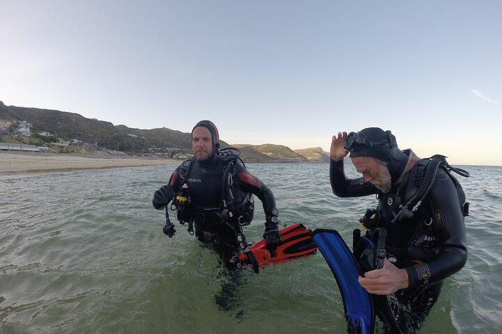Beginner Scuba Diving Experience in Simonstown.