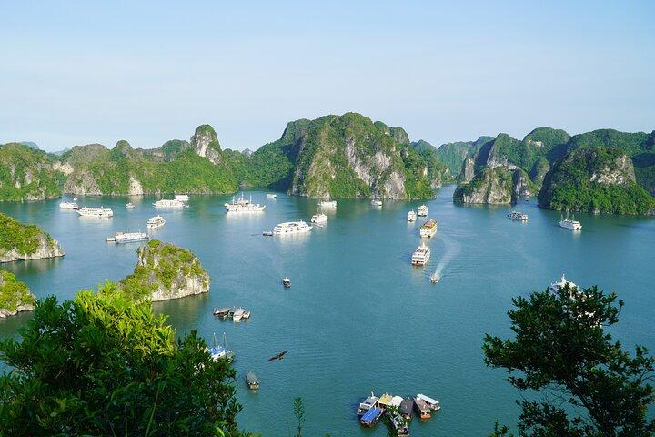 Ha Long Bay 1 Day Joined Luxury Tour