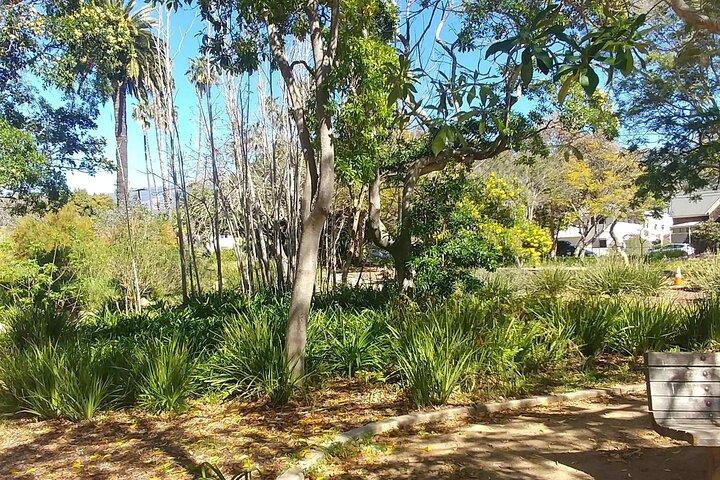 Ultimate Guide to Santa Barbara: A GPS Self-Guided Urban Stroll