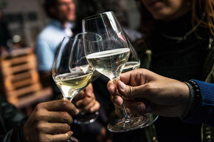 Wine Class and Tasting in Milan - Semi Private tour