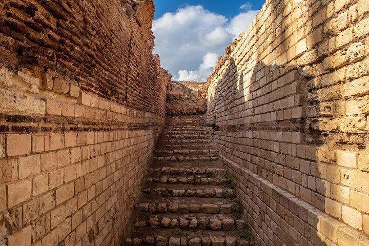 Alexandria Full-Day Private Tour from El Cairo with hotel pick up and drop off