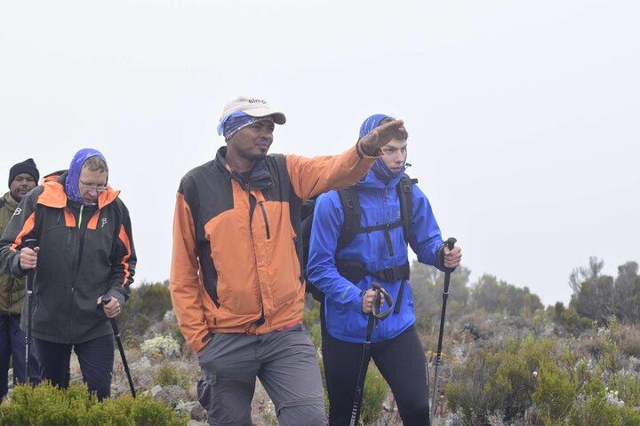 Affordable 6 Days Kilimanjaro Climbing tour via Marangu Route