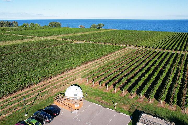 1 Hour Private Vineyard Dome Experience in Niagara-on-the-Lake
