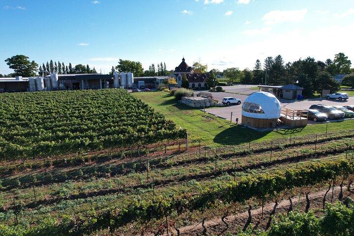 1 Hour Private Vineyard Dome Experience in Niagara-on-the-Lake