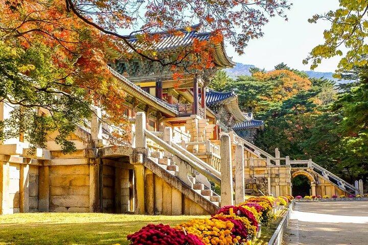 Full-Day Small Group GyeongJu History Tour from Seoul