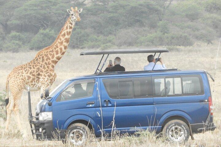 Nairobi park Morning Safari & visit to Giraffe centre