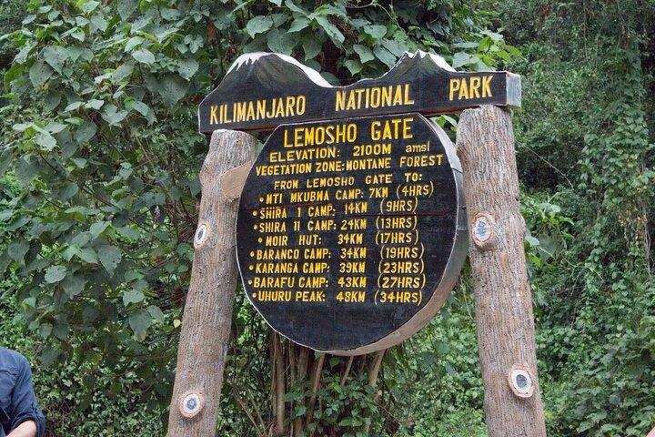 8 Days Kilimanjaro Climbing tour via the Lemosho Route
