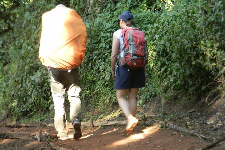 8 Days Kilimanjaro Climbing tour via the Lemosho Route