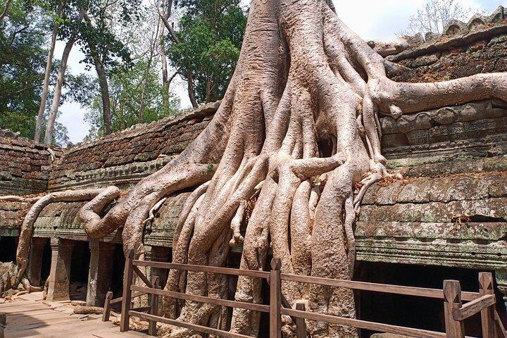 Private Three Day Trip in Siem Reap