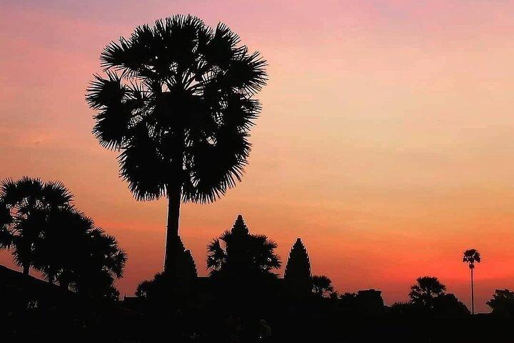 Angkor Wat Sunrise Private Car Tour (5hr: Bayon & Ta Prohm)