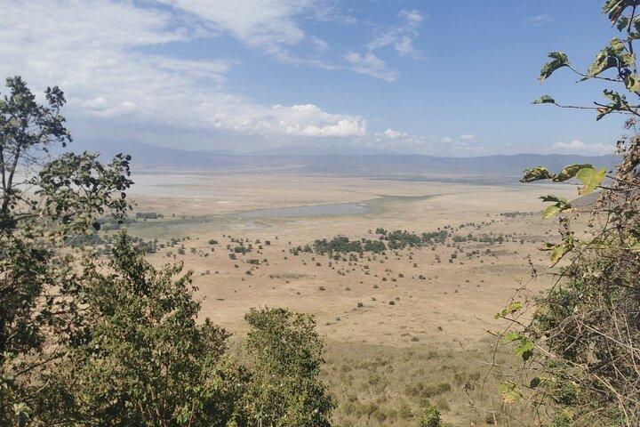Kilimanjaro 10 Days Trek Northern Circuit Route