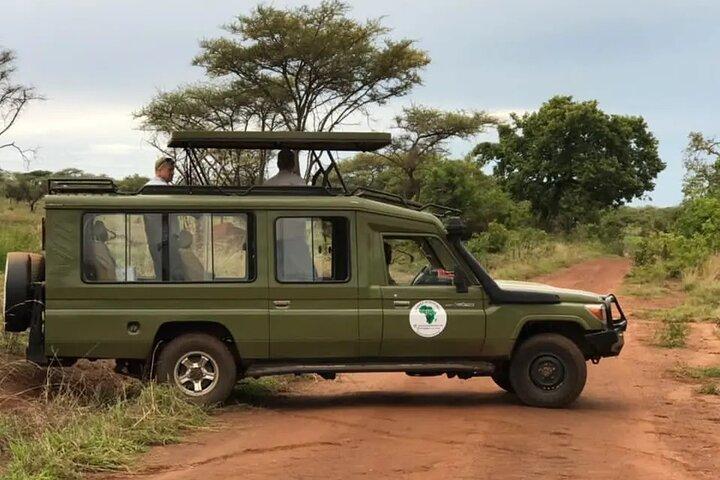 Full-Day Private Safari of Akagera National Park with Lunch